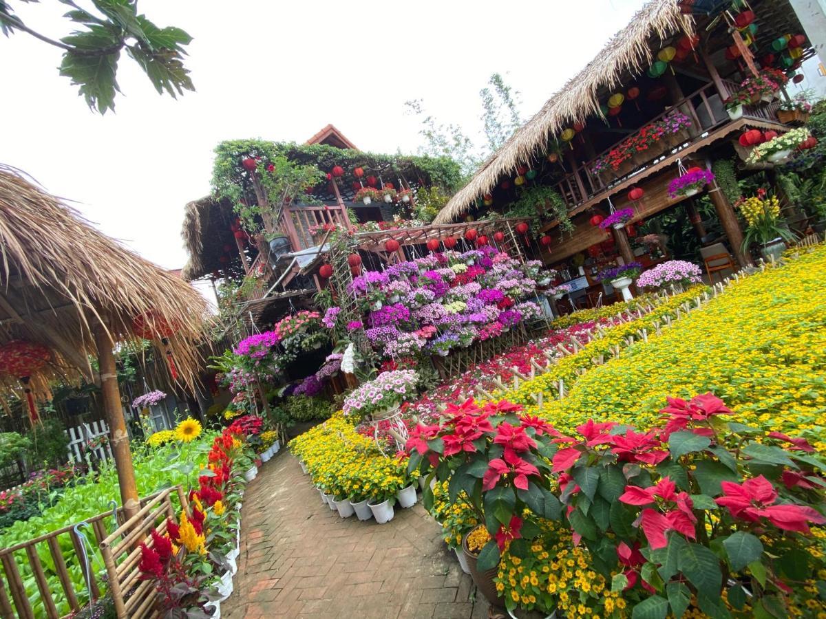 Khamy Riverside Villa 会安 外观 照片