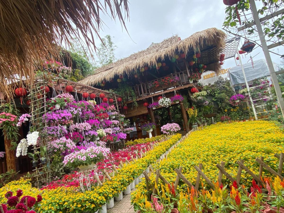 Khamy Riverside Villa 会安 外观 照片