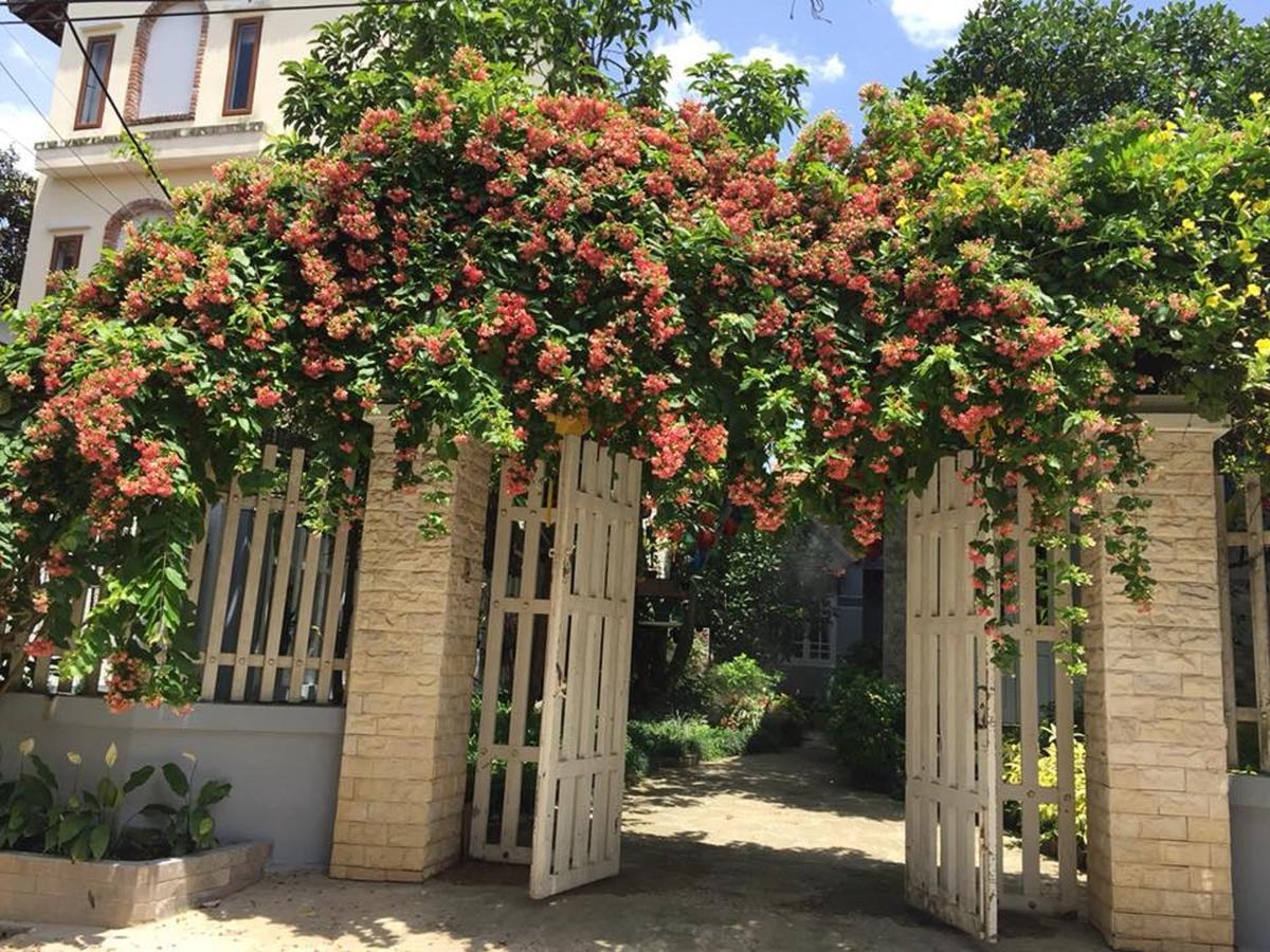 Khamy Riverside Villa 会安 外观 照片