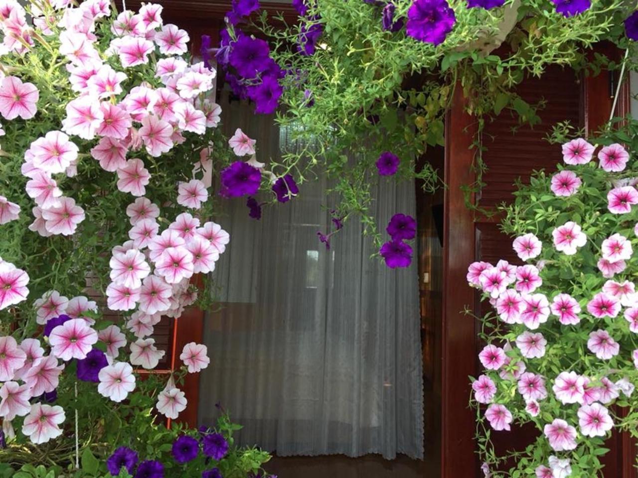 Khamy Riverside Villa 会安 外观 照片