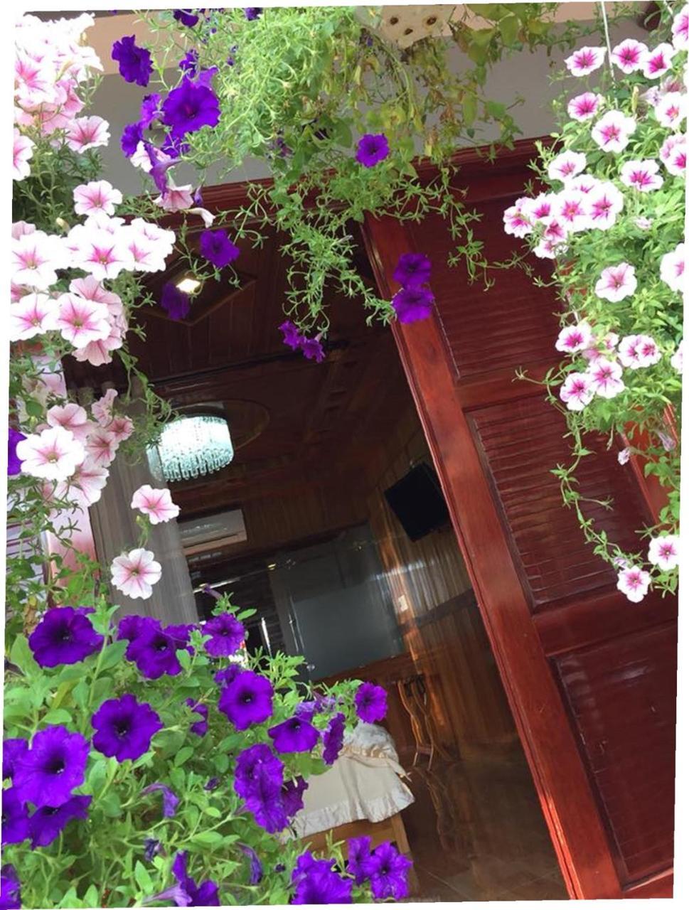 Khamy Riverside Villa 会安 外观 照片