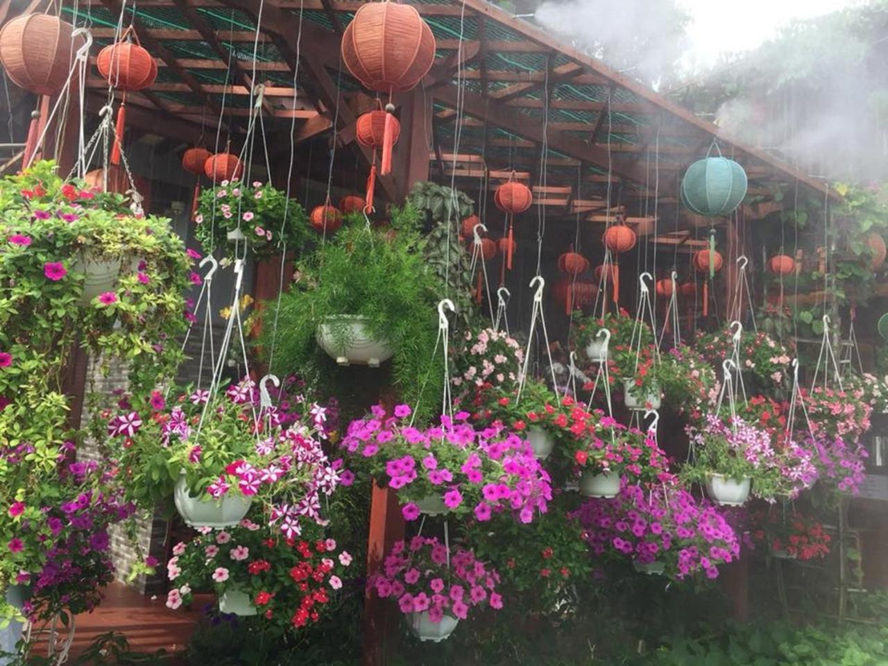 Khamy Riverside Villa 会安 外观 照片